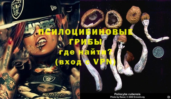 2c-b Алексеевка