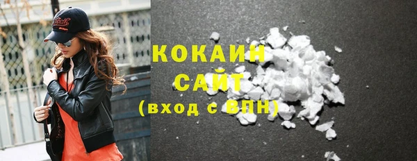 гидра Алексин