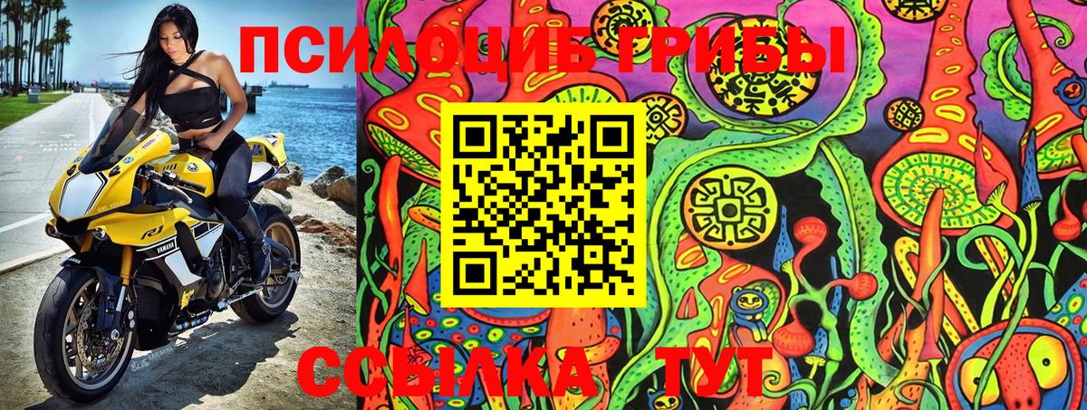 Галлюциногенные грибы Magic Shrooms Калач-на-Дону